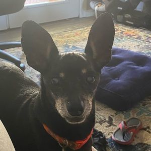 Meet your Posher, Chelsei